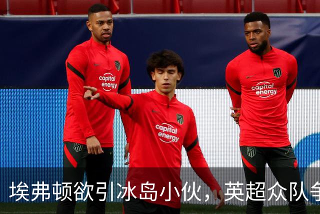 埃弗顿欲引冰岛小伙，英超众队争抢如抢白菜